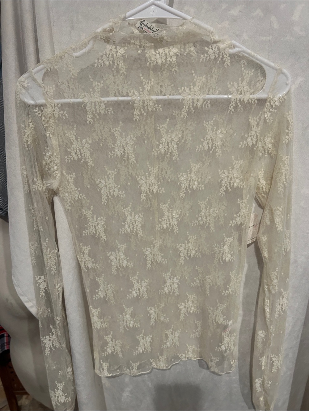 Free People Sheer Floral Lace Long-Sleeve Top in Cream